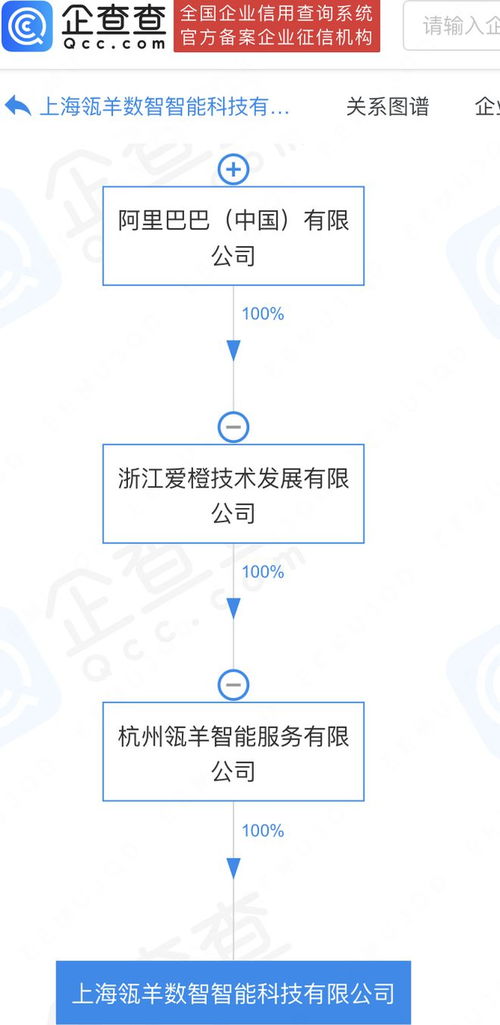 阿里巴巴加码数智科技 瓴羊数智科技公司在沪成立，深耕数据处理与存储服务新蓝海