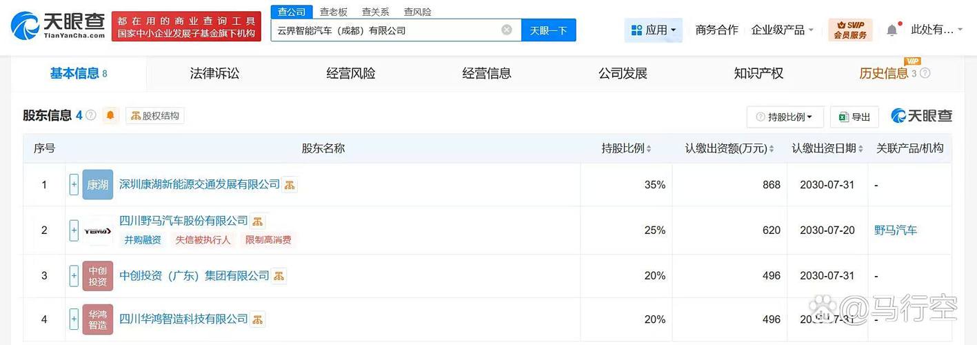 经营范围含计算机系统服务,大数据服务,数据处理